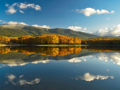 秋天湖中风景倒影图片