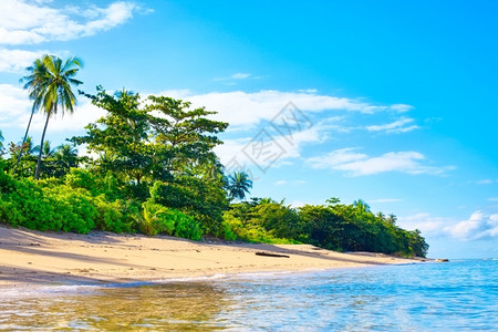晴天目的地太阳泰国安达曼海带丛林的热海滩图片