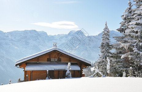 冬季雪景风光图片