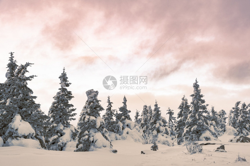 季节冰雪覆盖的岩石山脉上霜冻森林航程登山图片