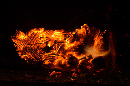 火焰燃烧木柴的壁炉视图水平假期图片