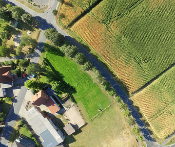 德国草原和田地的空中照片包括一排弯曲的树木和房屋乡村的建成小路图片