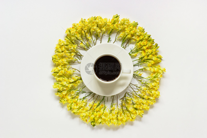 一杯咖啡和圆形框架黄色野花Linaria在灰色背景平躺顶视图概念早上好或你春天模板用于明信片文本或您的设计一杯咖啡和圆形框架黄色图片