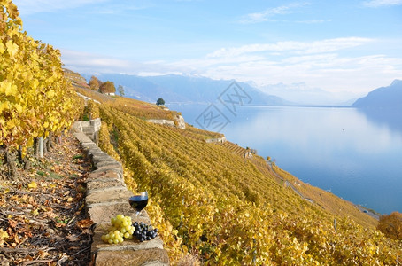 落下浪漫瑞士Lavaux地区露台葡萄园的红酒和杯阳台图片