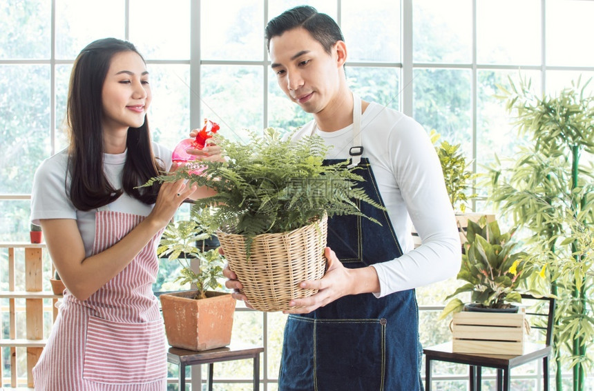 男人树亚洲年轻夫妇在家庭自然Hobby内政和情人概念的节假日和园艺植物中共渡时间新鲜的图片