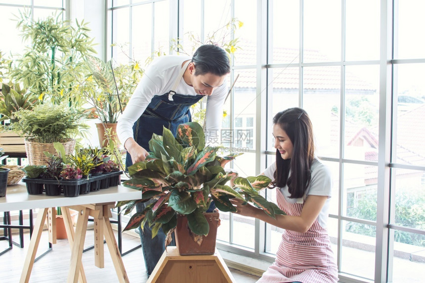 亚洲年轻夫妇在家庭自然Hobby内政和情人概念的节假日和园艺植物中共渡时间浪漫的关心美丽图片