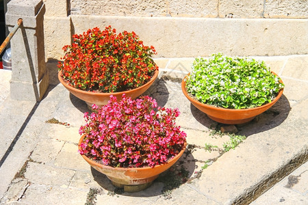 意大利城市人行道上的三个花盆和乞讨正面旅行欧洲图片