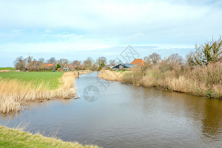 荷兰Friesland的LittelGaast村景观天空户外远图片