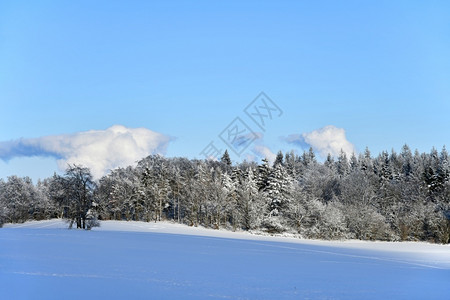 景观夏天什么时候气好有雪覆盖的树图片