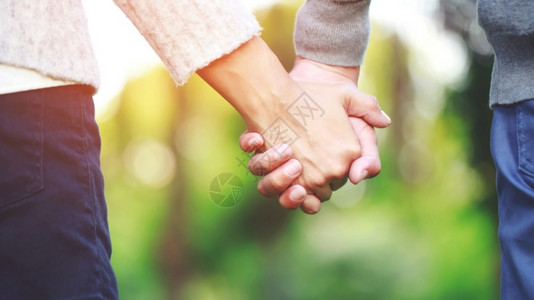 浪漫的情人节用一点爱和情握手粘合松弛图片
