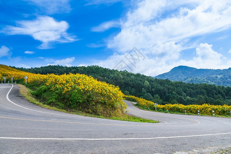 路线天空山坡上的弯曲道路在山和森林的公路边用鲜花开小路背景图片