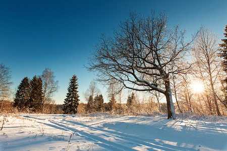 踪迹覆盖安静冬季风景日落时有公路和附近木头图片