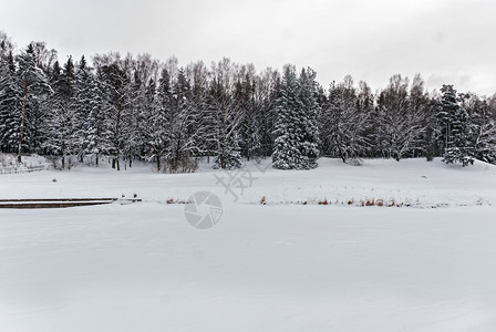 寒冬树冰和森林下河流的景色冬季风自然图片