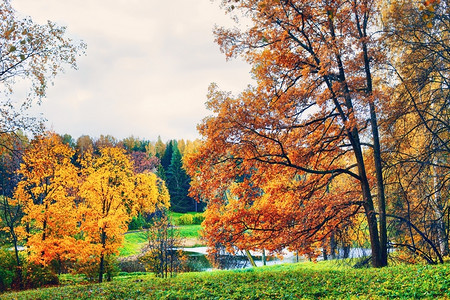 明亮的木头池塘秋季公园风景与河流和蓝天空的秋景观图片