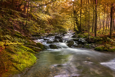 秋天山谷里流动溪水图片
