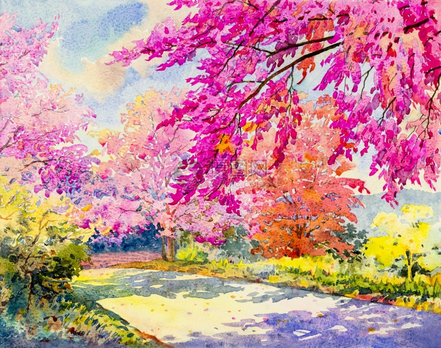 水彩丰富多的原地貌画野黑白良樱桃粉色和蓝背景的情感彩美叶子图片