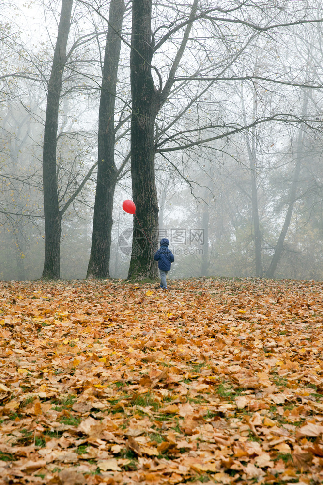 轮廓户外秋天公园下着落叶子天气晴朗距离很远让男孩带着红球离开孩子穿着蓝色夹克秋季公园男孩美丽图片