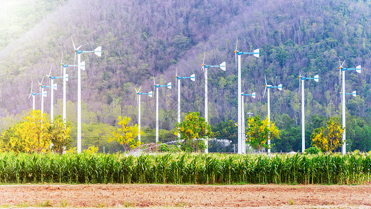 生产技术干净的在田野玉米农场和夜间阳光下为该工业提供集体风动发电机清洁能源促进可持续从泰国田地玉米农场的风力涡轮机中获得无害环境背景