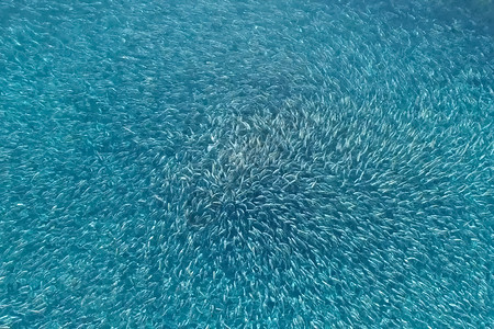 天空海上养鱼场用圆网围起来海上养鱼场用圆网围起来海洋卑尔根图片