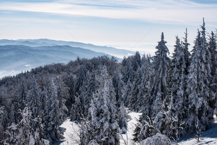 冬季雪景风光图片