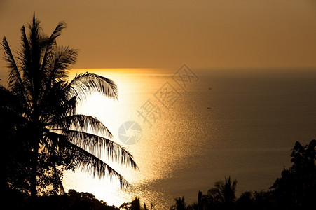美景观海面之上有金色的日落卡片美丽阳光图片