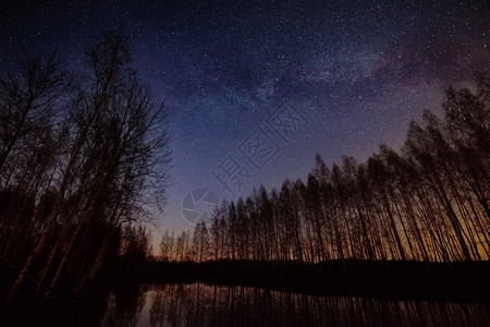 支撑黎明在星空下湖边的裸露林夜色风景拉普捷夫图片