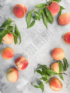 夏天养分木板上的桃子绿色活物概念有机食绿色生活概念的食品色分支图片