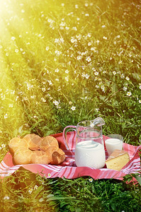 乡村的牛奶酪和面包在瑞士阿尔卑斯山草原野餐时供应送达杯子图片