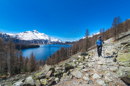 踪迹跋涉美丽在瑞士阿尔卑斯山的上一位女孩在圣莫里茨附近的恩加丁山谷图片