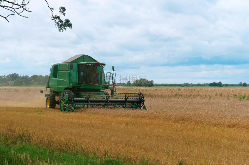 大豆收成草绿色割机拖拉在田间工作拖拉机在田间工作绿色收割机图片