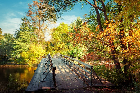秋天户外公园的湖边木桥图片