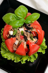 饮食的节日盘子配有切碎的金鱼沙拉鸡蛋番茄立方体橄榄片和添加披风绿色图片
