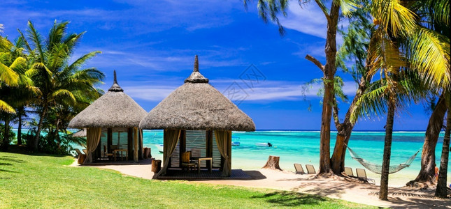 宁静田园诗般的夏令热带假日在毛里求斯岛的外来旅游者中背景图片