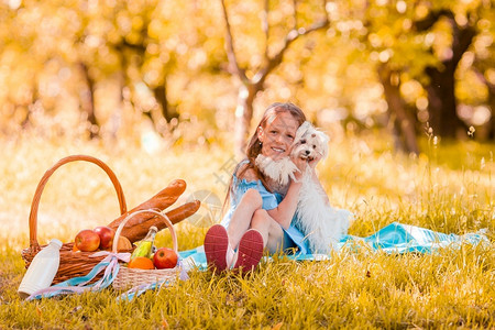 在秋公园和白小狗玩野餐的快乐女孩两个小在公园野餐绿色童年草地图片