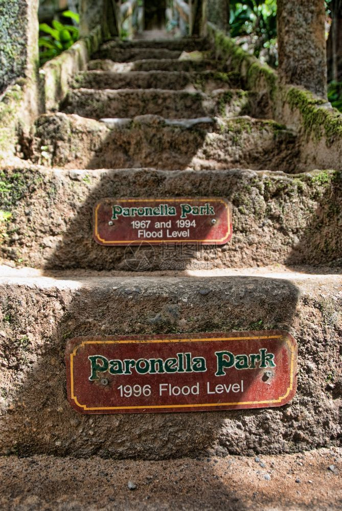 瀑布热的带澳大利亚昆士兰Paronella公园植物种图片
