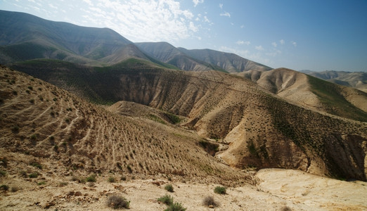 环境跋涉瓦迪春天沙漠中山丘之间的谷图片