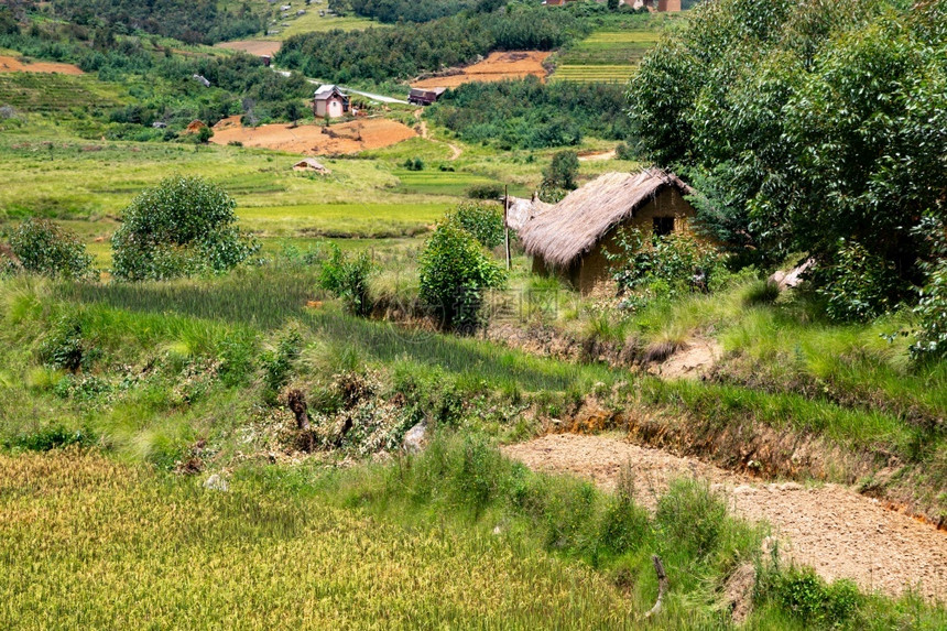 公园山景观马达加斯岛上绿色田野和风景的照马达加斯岛上绿色田野和风景的照图片