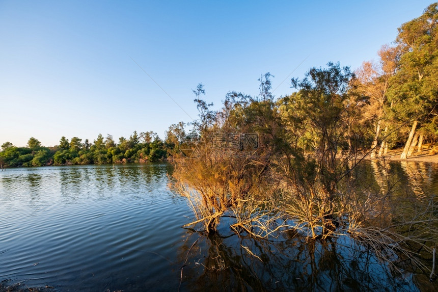 森林鸟国民塞浦路斯的阿塔拉萨湖水光明亮树木阳媚图片