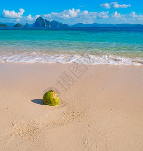 海边的椰子图片