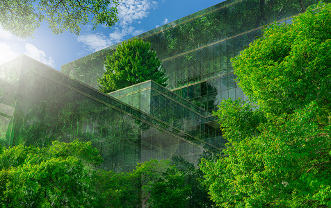 天空素材纵向建造城市的未来生态友好型建筑现代城市有垂直花园在现代城市有垂直花园在可持续玻璃建筑上种植绿树林节能建筑具有绿色环境的纵向花园办公背景