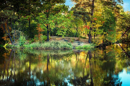 太阳美丽的光在户外公园的日落中湖和多彩的秋树在蓝天下反射出色空下生态图片