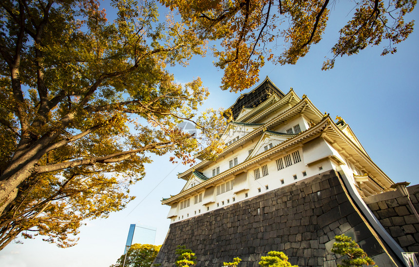 在日本的千山中最受欢迎的旅游目地之一位于日本的千卡城堡植物传统的亚洲图片
