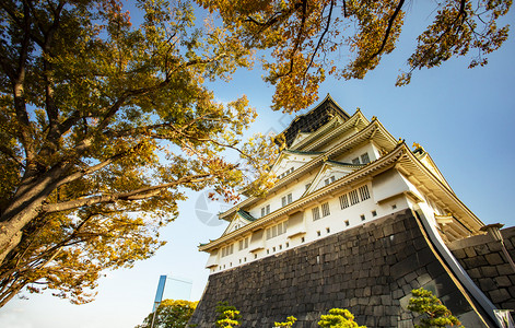 在日本的千山中最受欢迎的旅游目地之一位于日本的千卡城堡植物传统的亚洲图片