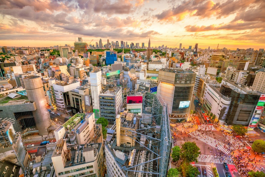 亚洲从日本东京黄昏时的顶端观点横渡人行道建筑学图片