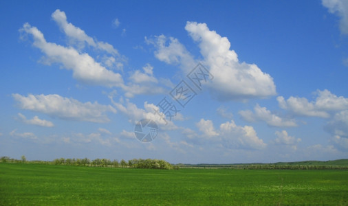 绿地蓝天空和白云自然草由图片
