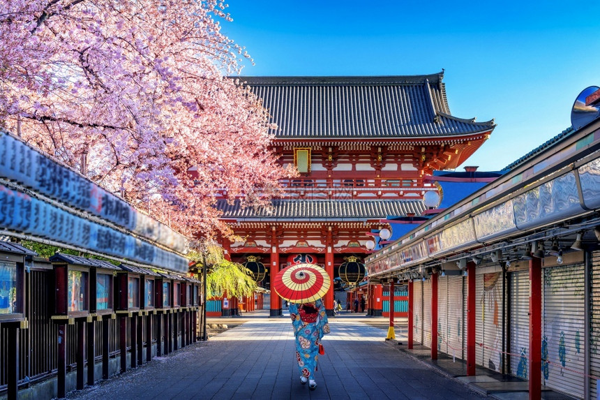 樱花入口门在日本东京寺庙穿传统和服的亚裔妇女图片