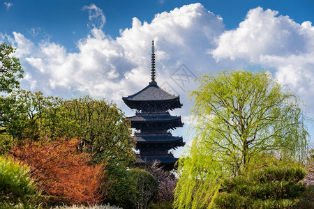 东京落下亚洲日本都Toji寺庙塔图片