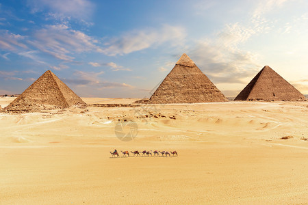 埃及开罗吉萨沙漠金字塔景观埃及开罗吉萨沙漠金字塔景观胡夫骆驼老的图片