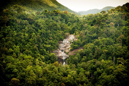旅行异国情调从厚的绿林中揭示出惊人的瀑布雨林图片