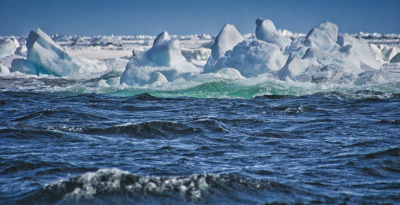 冷冻静的海冰80N包装的边缘北极挪威斯瓦尔巴德欧洲阿韦托卡雷拉图片